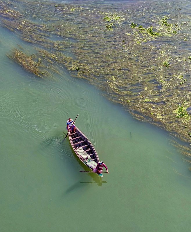 #river, #boats, #alga, #green, #bangladrsh River and Boats фото превью