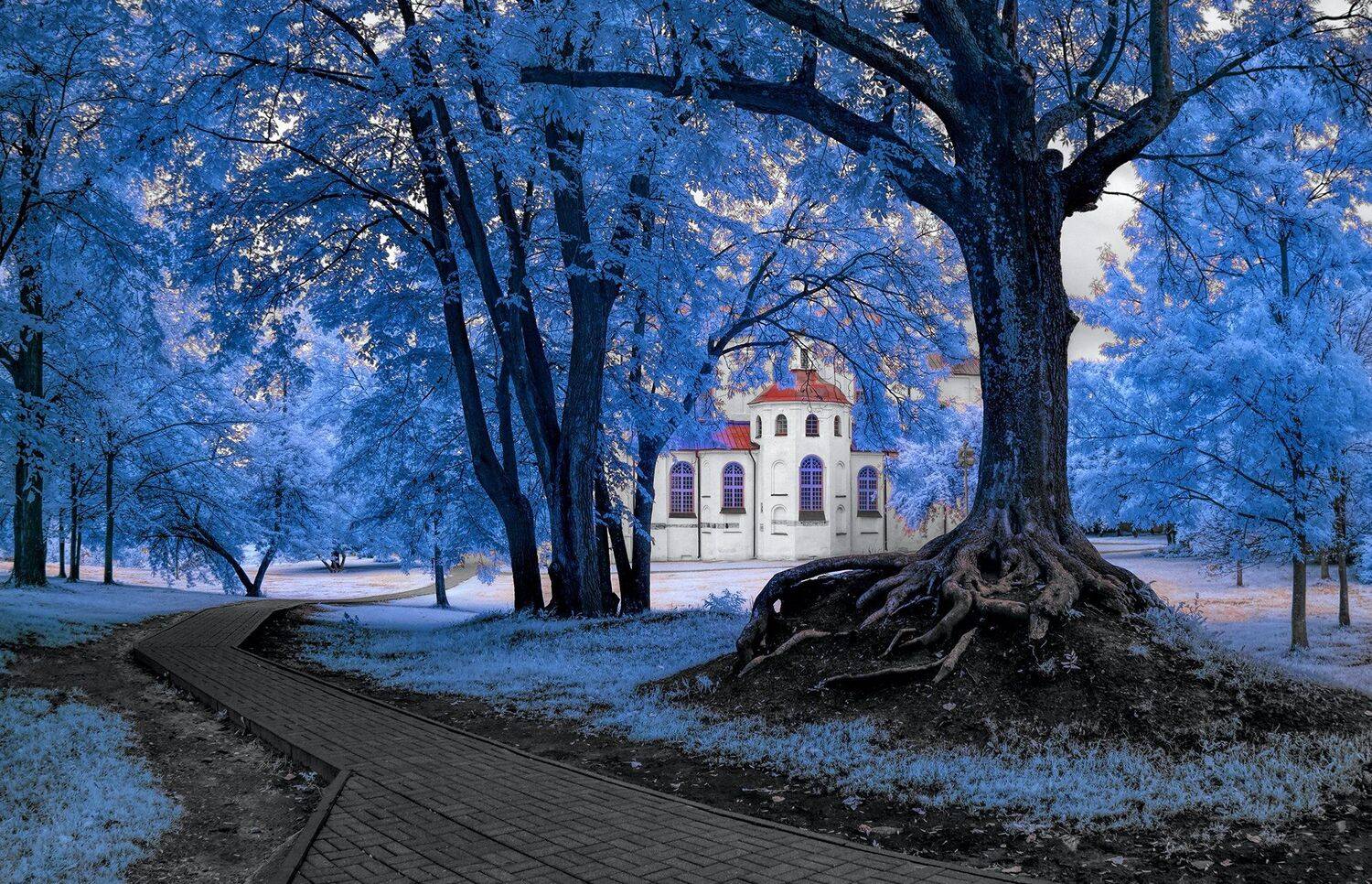 infrared,ик-фото,инфракрасное фото, инфракрасная фотография, пейзаж, лето, Sixten ( Сергей )