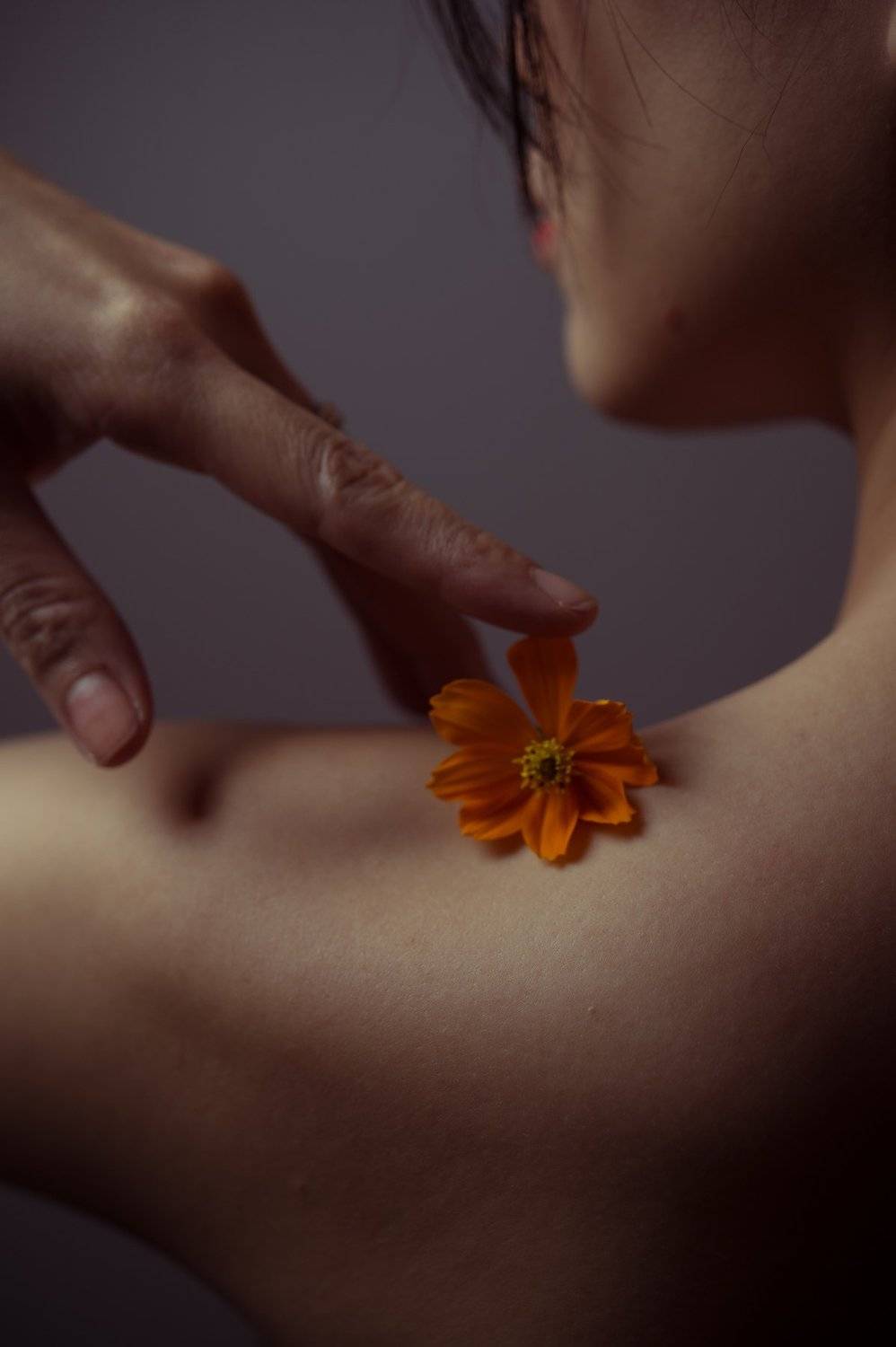 , L&ecirc; Nguyễn Vũ