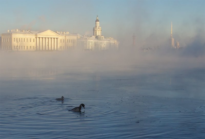 Крещенские купания фото превью