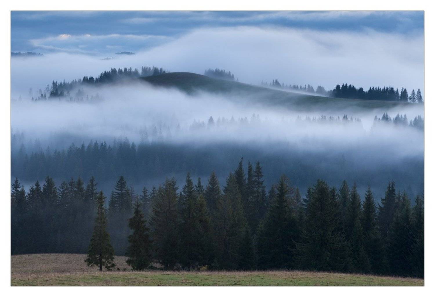 , Михаил Мигушин