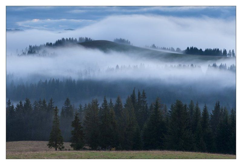 ПЛЫВУТ  ТУМАНЫ фото превью
