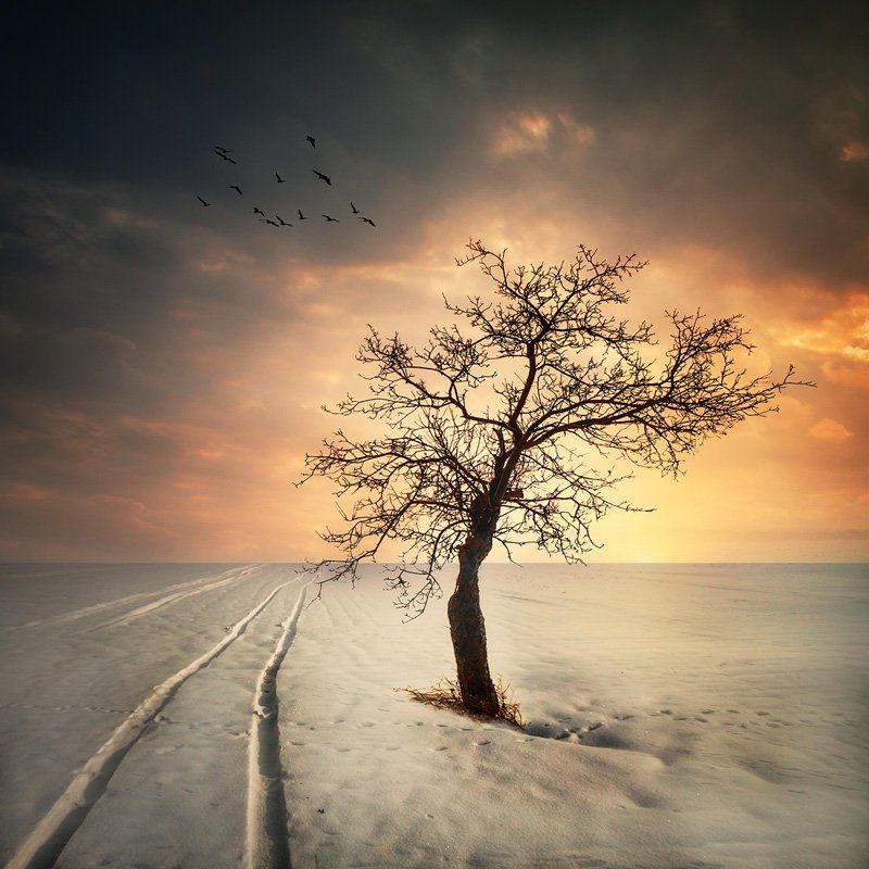 Winter time фото превью