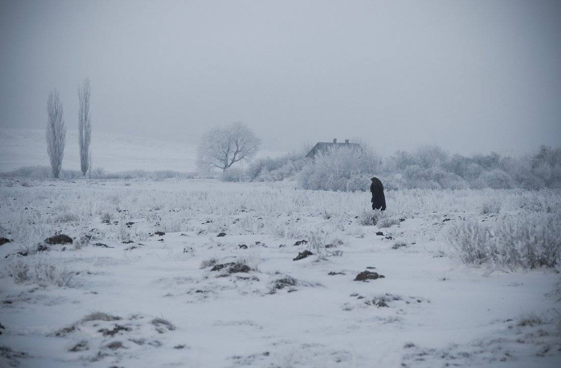 , Николай Шахманцир