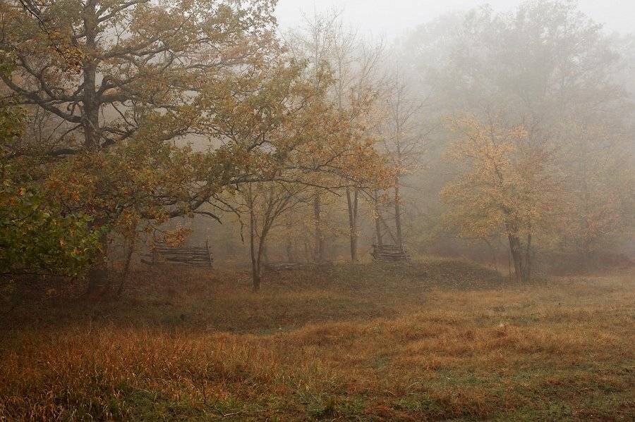 , Светлана Щемелева