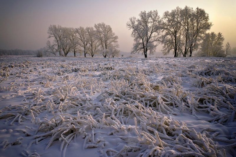 снег, мороз, солнце Зимний вечер фото превью