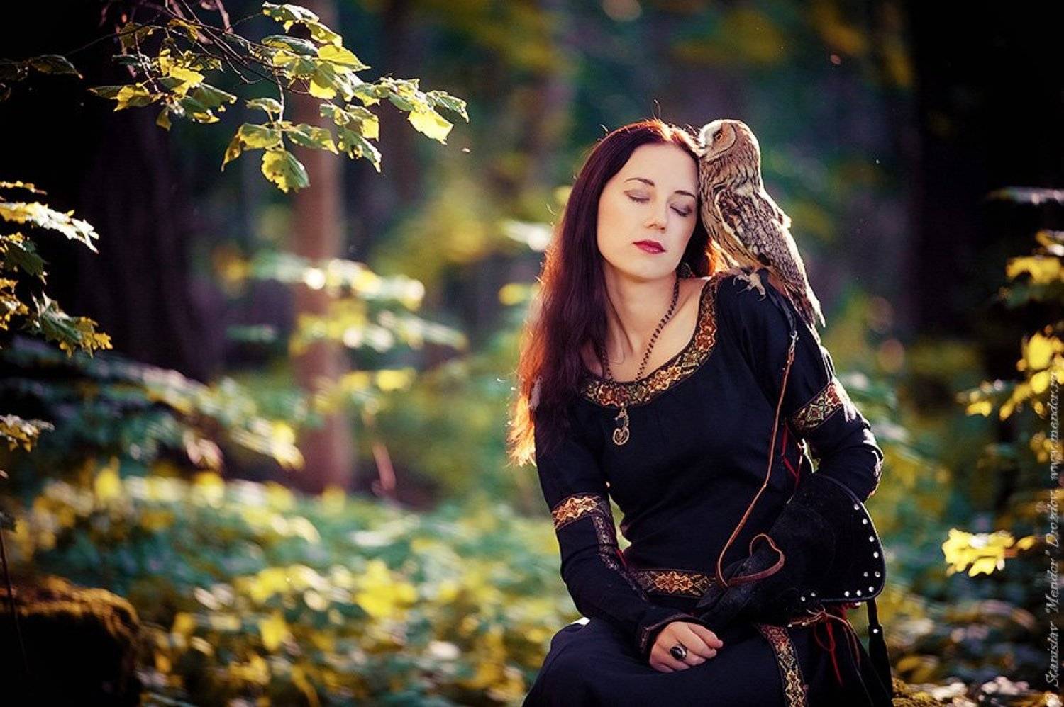 портрет, девушка, лес, природа, сова, Станислав Дроздов