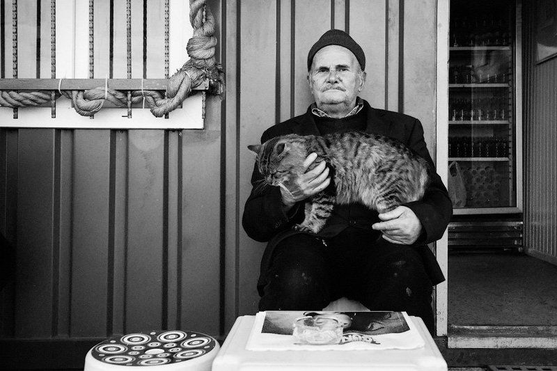 старик, кот, стамбул Два товарища фото превью