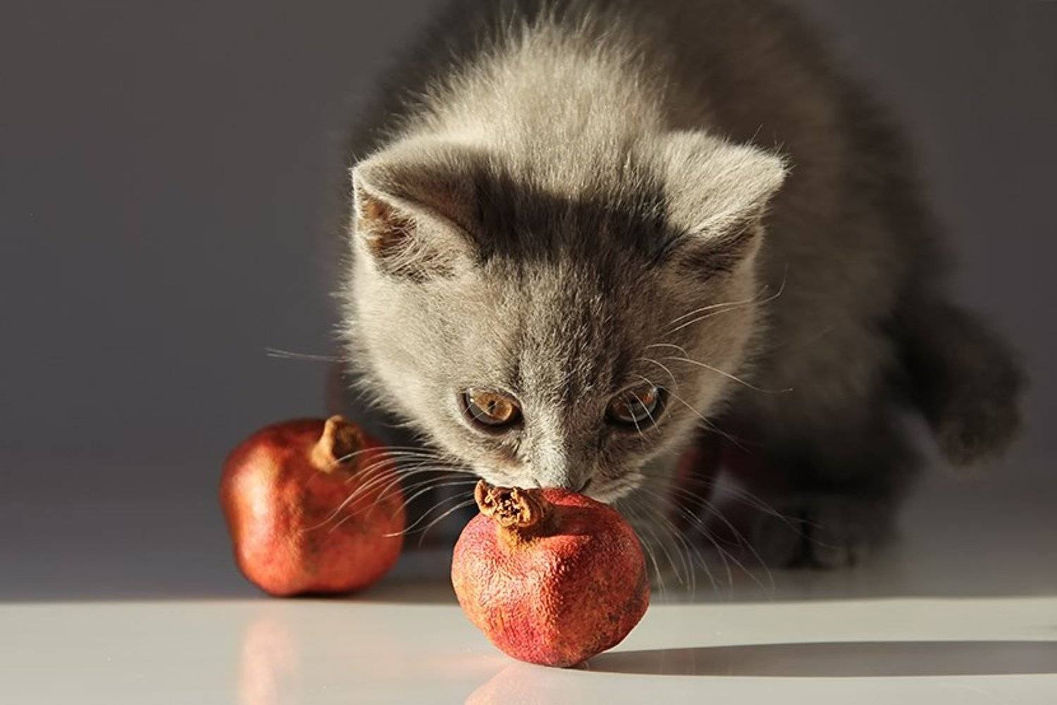 , Наталья Кузнецова (Nateletro)