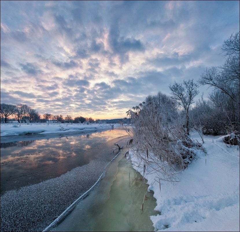 , Полищук И.В.