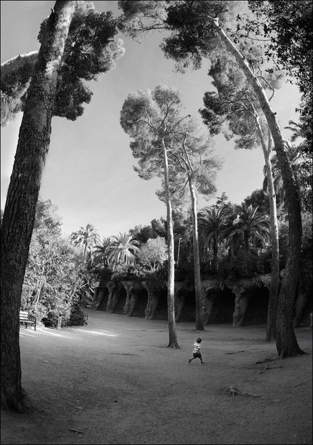 , Крицак Ольга