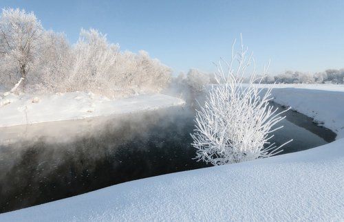 Морозная белизна