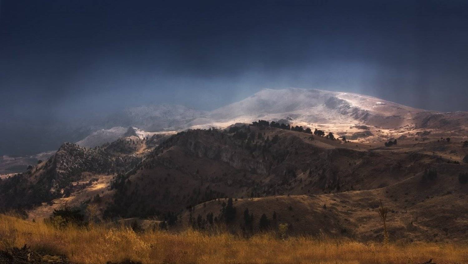 , Гамидов Мурад