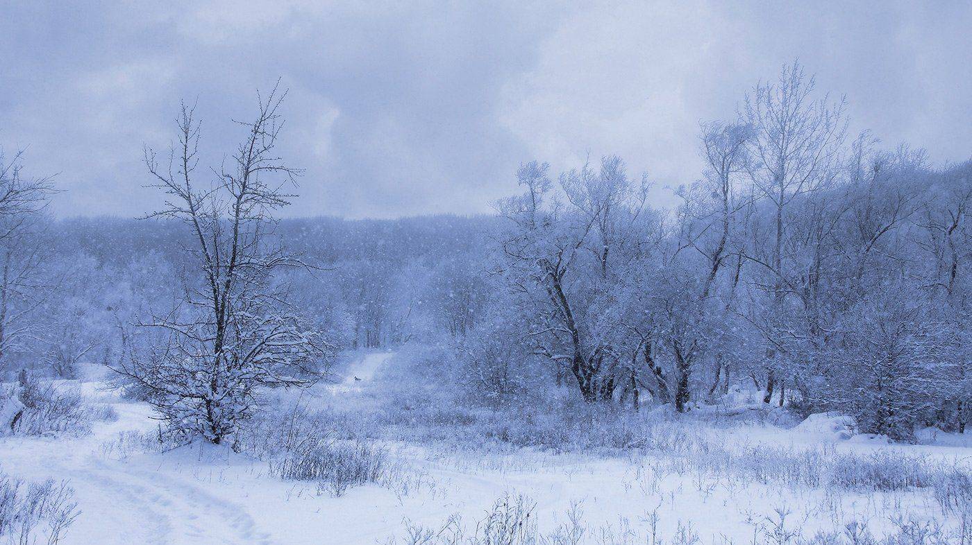 , Михаил  Пилипенко