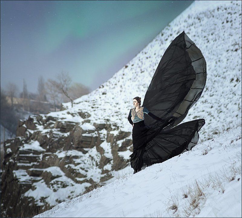 Black Butterfly фото превью