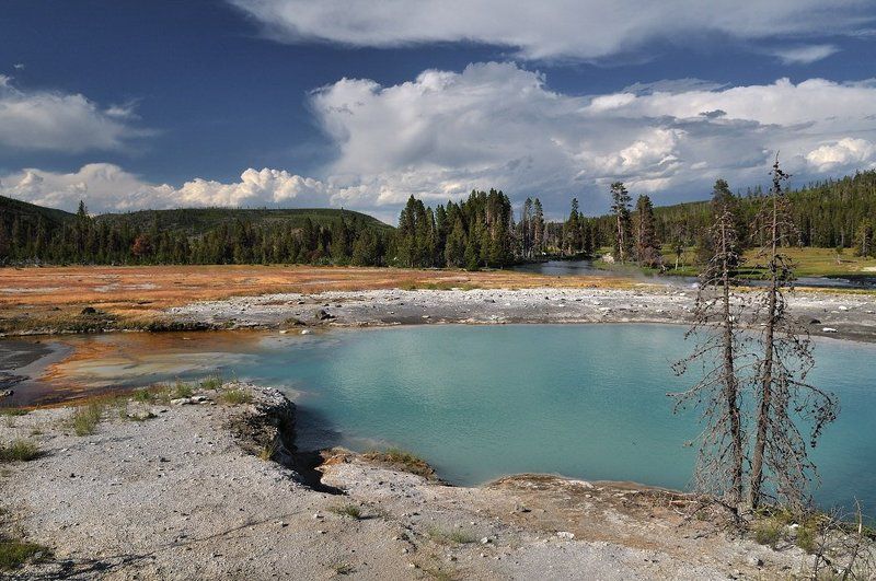 (+++) фото превью