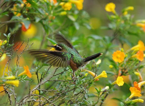 Дай я тебя обниму!