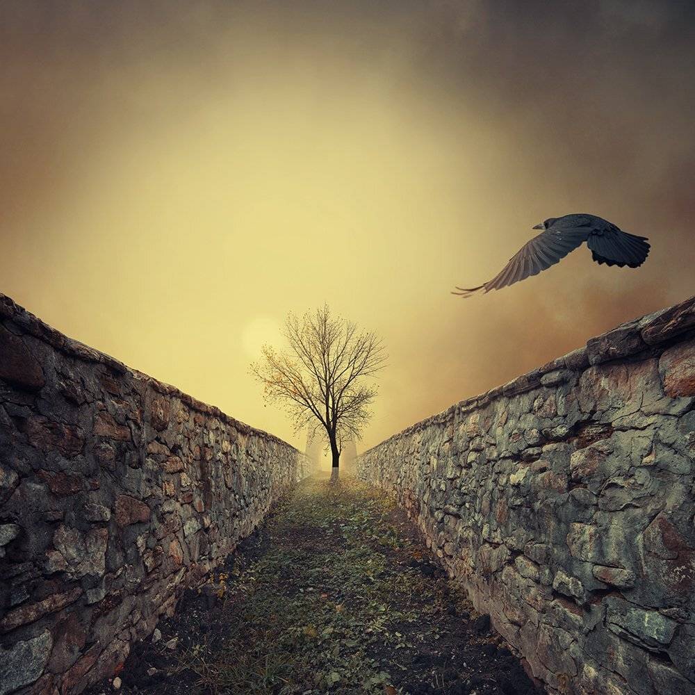 mist, fog, light, house, tree, gate, leaf, shadow, smoke, crow, photoshop, tutorial, Caras Ionut