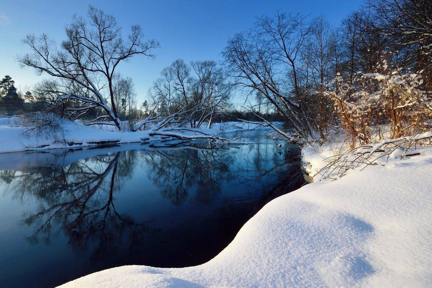 , Максим Евдокимов