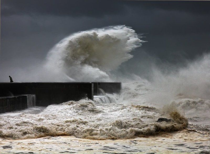 wrong place фото превью