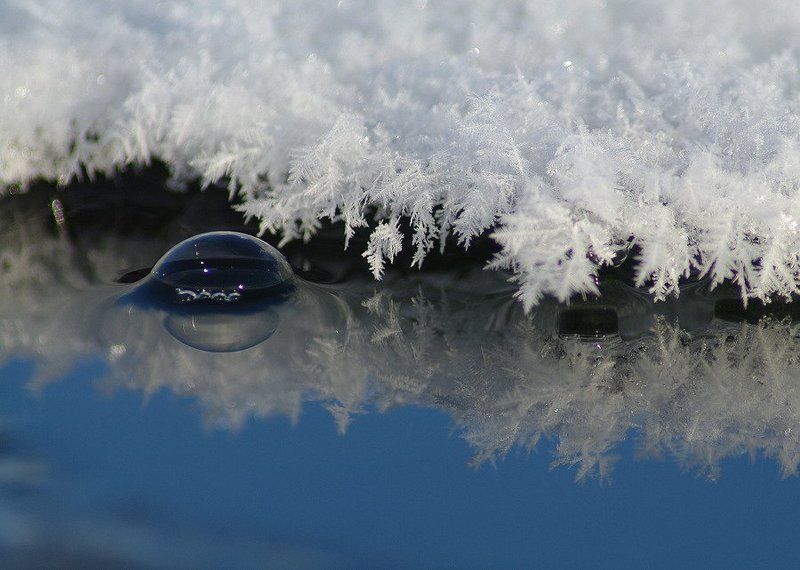 пузырь, болото, иней Пузырек фото превью