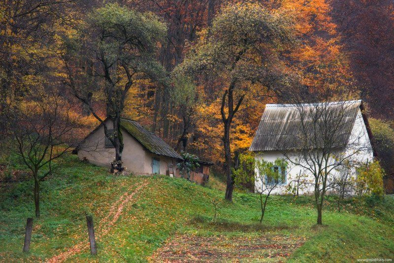 осень, ноябрь, карпаты На задворках осени фото превью