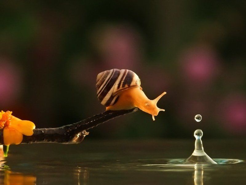 ЧУЖИЕ ИЛИ МАРС АТАКУЕТ фото превью