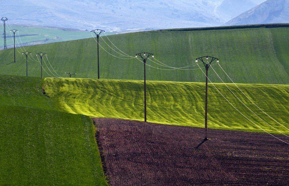 , Людмила Прокофьева