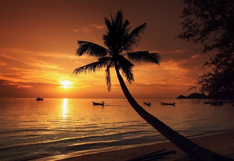 club 26, family garden, island, juliart5, koh tao, palma, summer, sunset, thailand, vint26, Zaporozhenko vitaly & julia Club 26, Sunshine Reggae фото превью