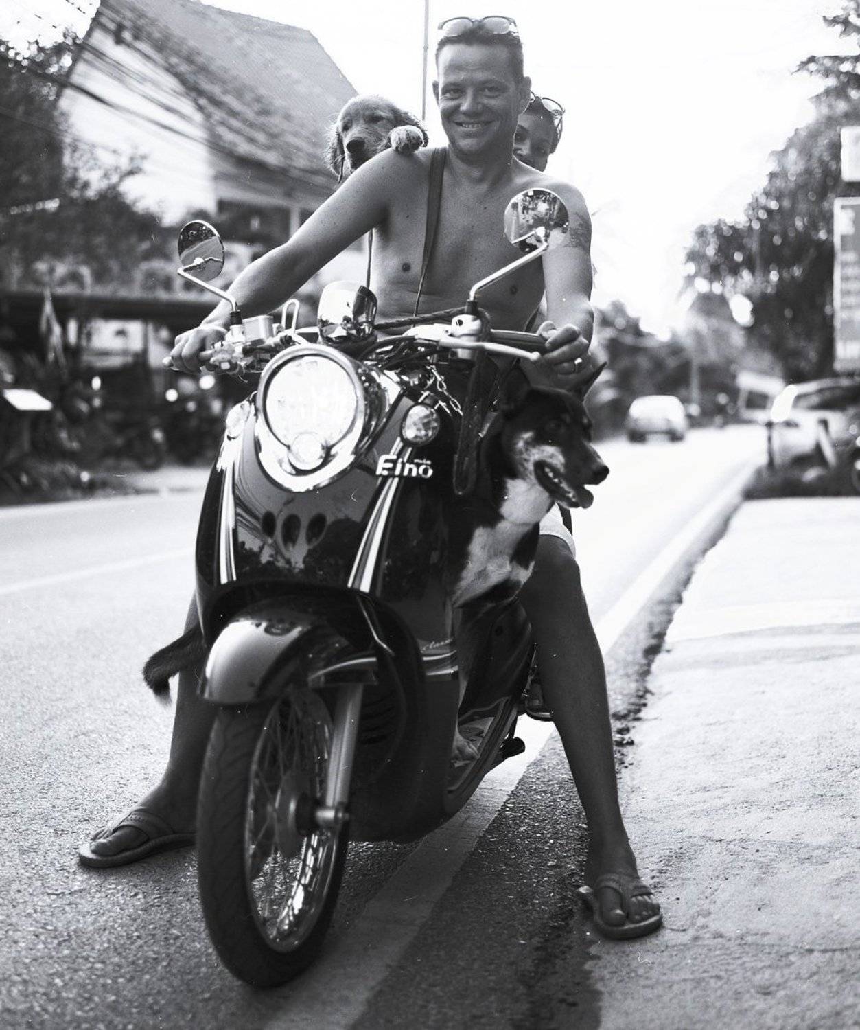 , Степан Каморный