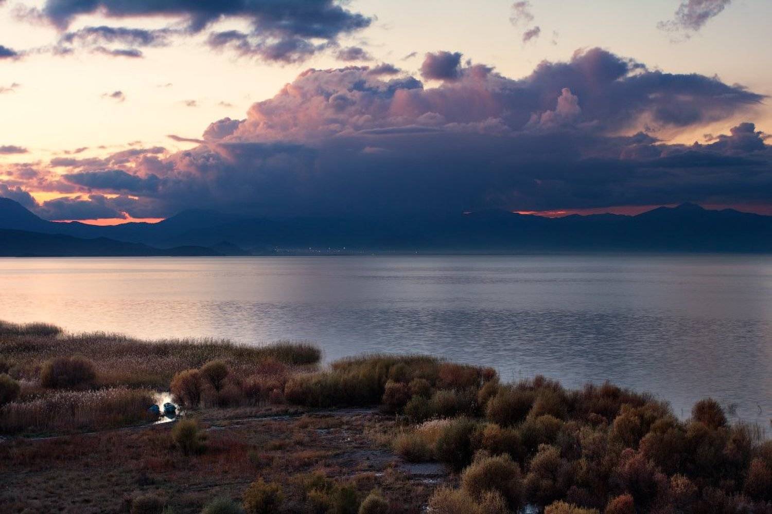 , Гамидов Мурад