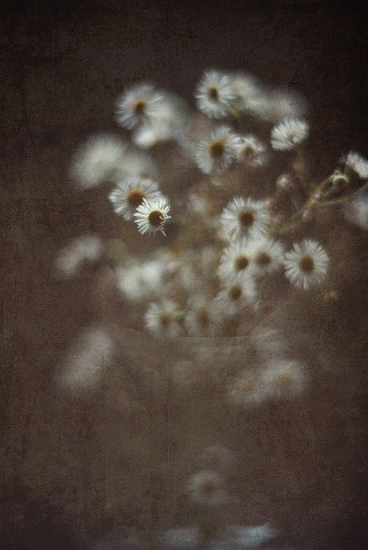 ***** фото превью