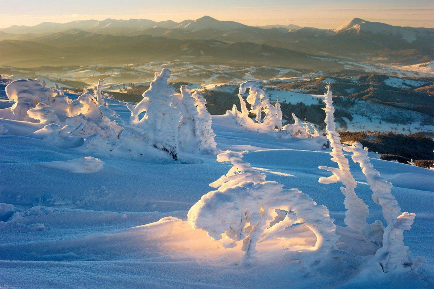 , Павло Пивовар Фотограф