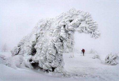 В объятьях зимы