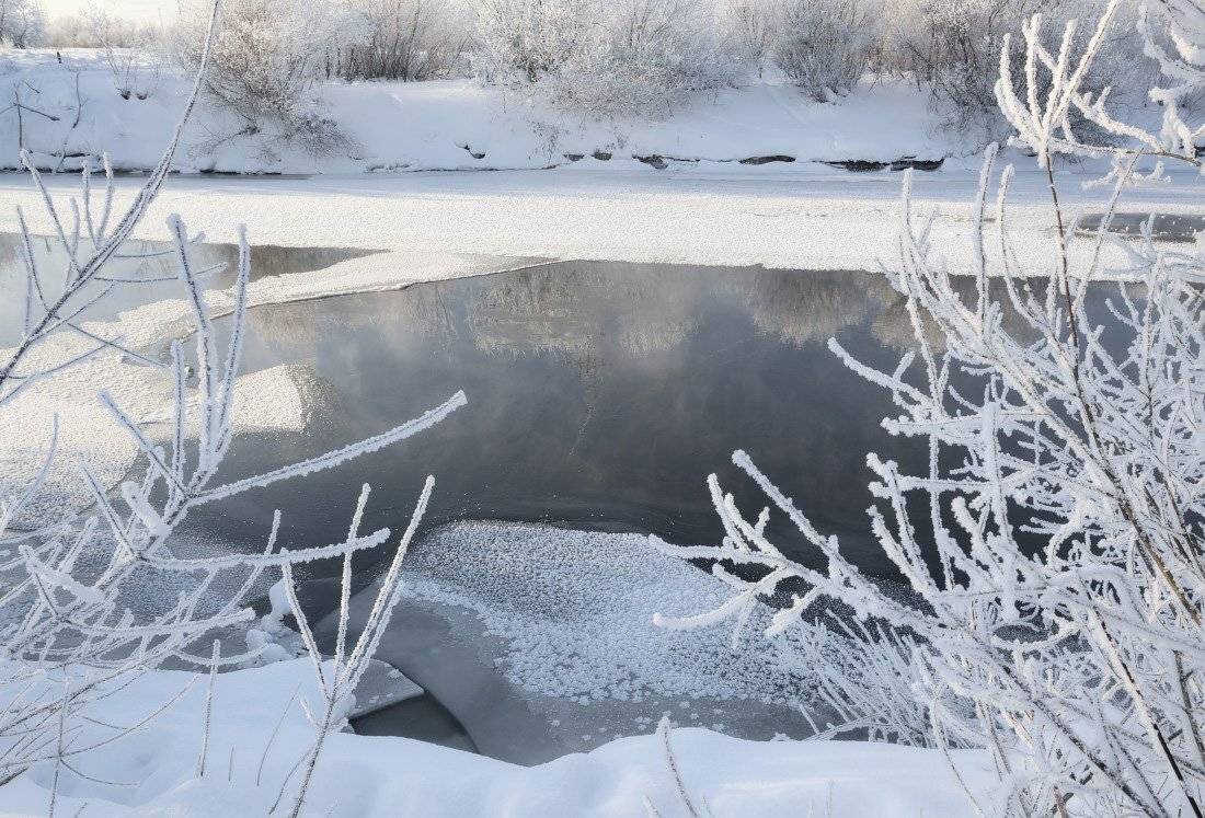 снег, сугробы, речка, вода, лед, кусты, солнце, зима, мороз, Георгий Машковцев