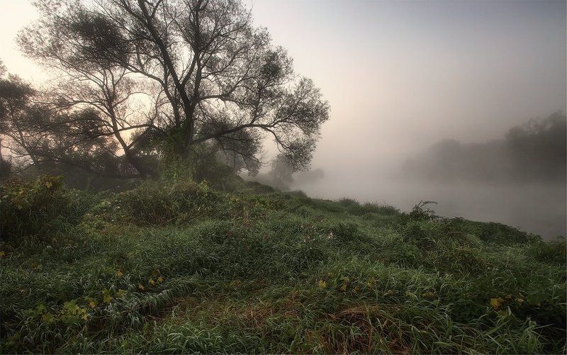 В тумане фото превью