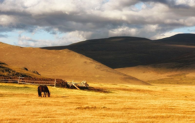 * фото превью