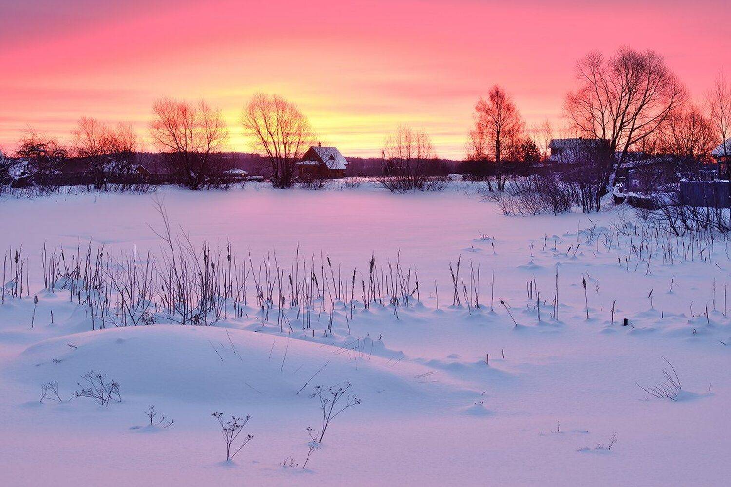 , Максим Евдокимов