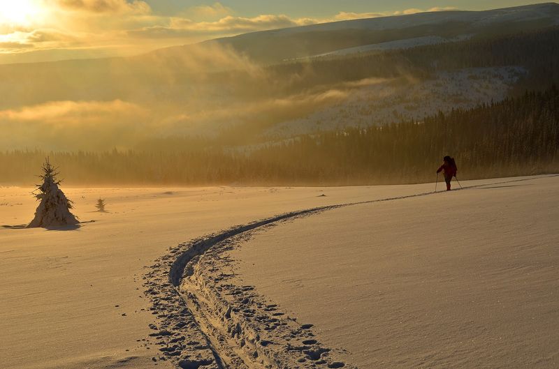 карпати, похід,лижі,сніг,сонце Шлях... фото превью