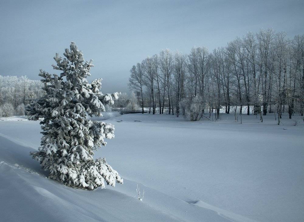 , Николай Морский