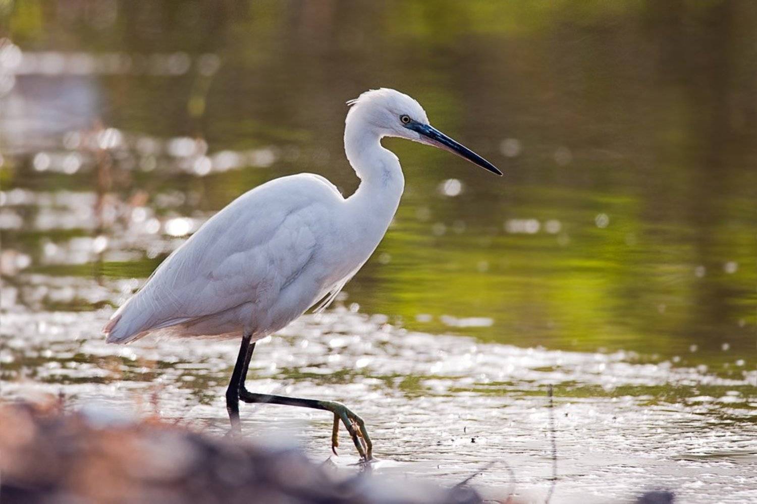 , Наум Пятов