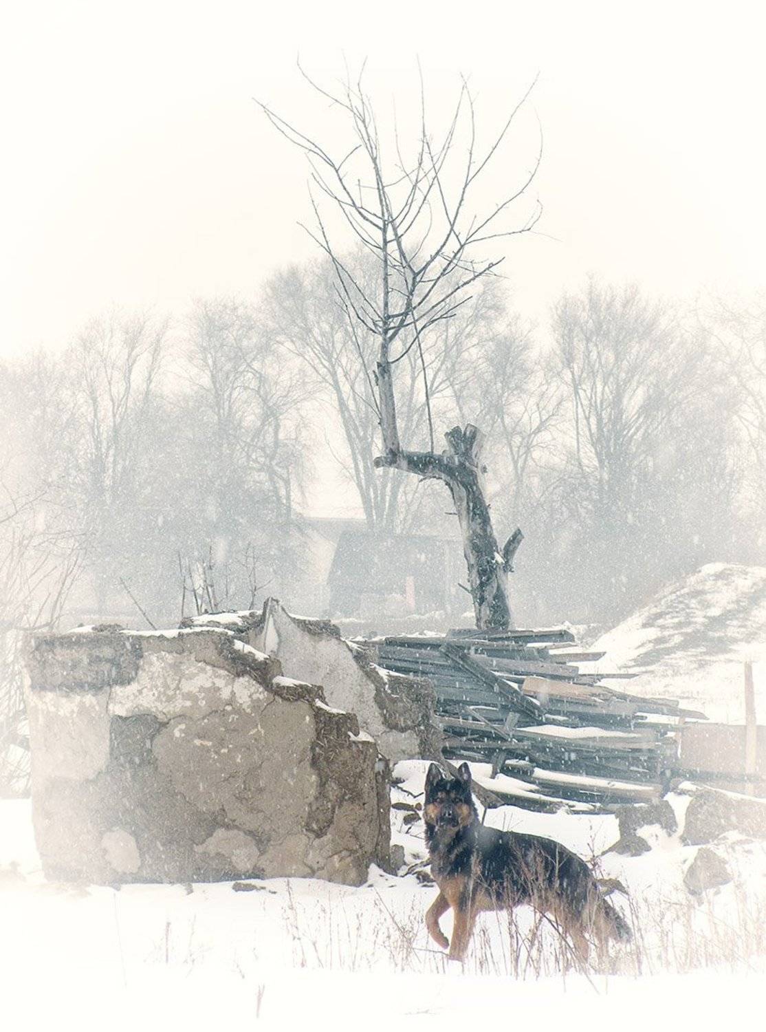 , Радковская Наталья