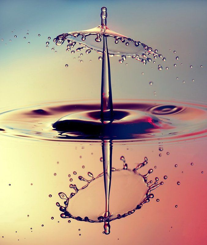 umbrella ? :) фото превью