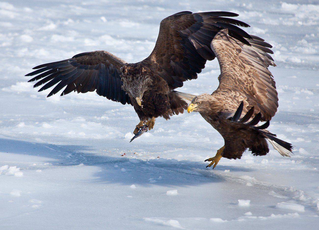 , Евгений Слободской