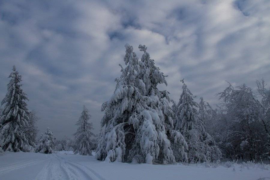 , Janina J?drzejewska-Szombara