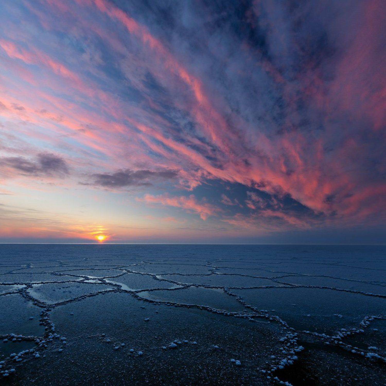 , Алексей Шандуров