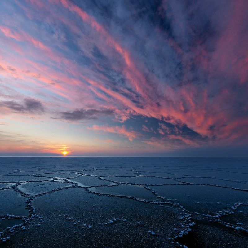 frozen planet фото превью