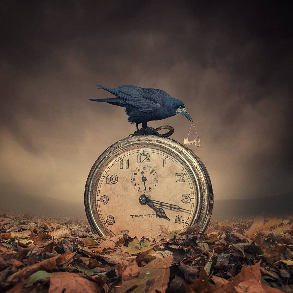 wood, clock, crow, black, ticking, leaf, mounting, smoke, ground, manipulation, elephant, photoshop, grundge, psd, tutorials, Caras Ionut