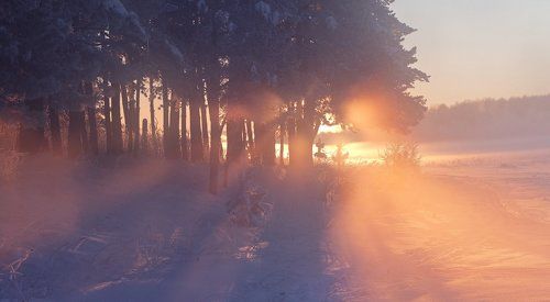 Принимаем солнечные ванны