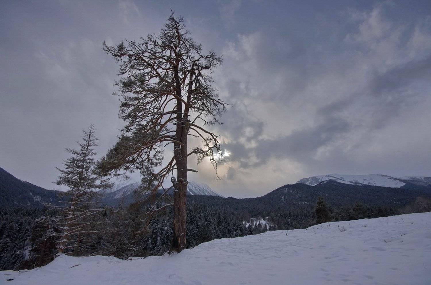 , Арсен Алабердов